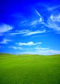 pic of blue sky  - green field in the summer - JPG 