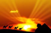stock photo of religion  - Desert landscape with camels and pyramid on sunset - JPG 