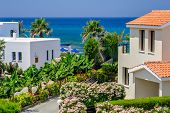 picture of holidays  - Luxurious holiday beach villas for rent on Cyprus - JPG 