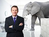 image of idiom  - smiling man and elephant in modern  - JPG 