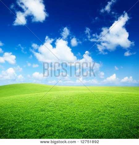 Picture or Photo of Field of grass and perfect blue sky
