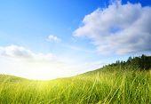 picture of blue sky  - grass and perfect blue sky - JPG 
