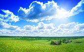 stock photo of blue sky  - summer day in Russian village - JPG 