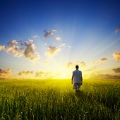 picture of walking  - walking young man over field and sunset - JPG 