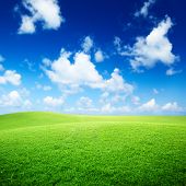 stock photo of sky  - field of grass and perfect blue sky - JPG 