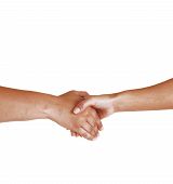 picture of handshake  - Two woman shaking there hands to seal the friendship - JPG 