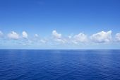 picture of calm  - Calm Vibrant Blue Ocean - JPG 