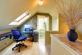 image of home  - Attic Cozy Home Office with sky light and black vase - JPG 
