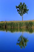 picture of reflexion  - Abstract lake reflexion landscape - JPG 