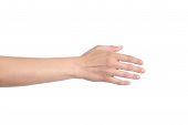 picture of handshake  - Woman hand ready for handshaking on a white isolated background - JPG 