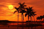 stock photo of sunset  - Palm tree silhouette on paradise sunset on the beach - JPG 