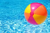 stock photo of beach  - A colorful beach ball floating on the swimming pool - JPG 