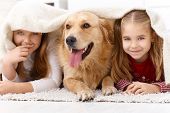 stock photo of home  - Cute little girls having fun with golden retriever - JPG 