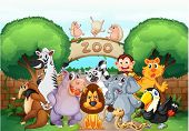 foto of animals  - illustration of zoo and animals in a beautiful nature - JPG 