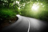 picture of transportation  - empty road in jungle of Seychelles islands - JPG 