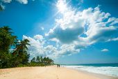 stock photo of beach  - Untouched tropical beach in Sri Lanka - JPG 