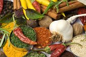 picture of food  - Various colorful spices and herbs used for seasoning indian food - JPG 