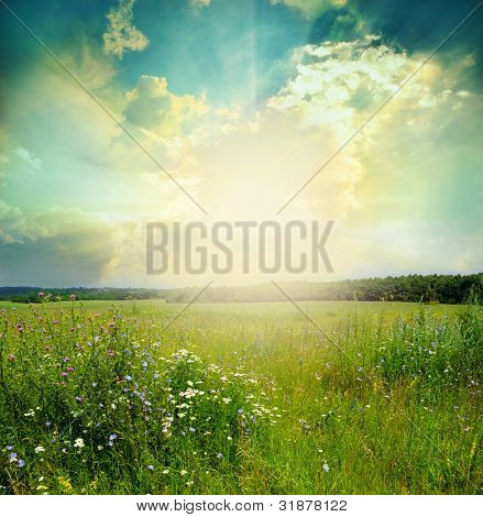 Picture or Photo of Green meadow under blue sky with clouds