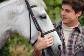 foto of horse  - Teen stroking horse - JPG 