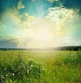 picture of sky  - Green meadow under blue sky with clouds - JPG 