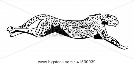 猎豹怎么画简笔画