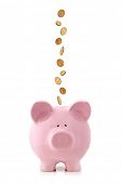 picture of dollar  - Golden coins falling into a pink piggy bank - JPG 
