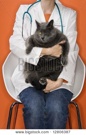 Female mid-adult Caucasian veterinarian holding cat with one eye. | Stock photo
