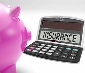 picture of investment  - Insurance Calculator Showing Protection Of Home Life Or Car Investment - JPG 