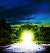 pic of portal  - Portal to Eden - JPG 