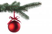stock photo of religion  - Christmas ball with curly ribbon on christmas tree - JPG 