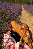 foto of france  - A summer picnic in a lavender field in Provence France - JPG 