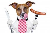 picture of animals  - hungry dog with sausage for dinner knife and fork - JPG 