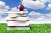 pic of science  - Stack of books in grass for summer reading with red delicious apple on top - JPG 
