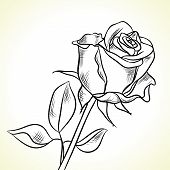 pic of black  - Silhouette of the black rose on a white background - JPG 
