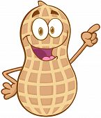 stock photo of character  - Peanut Cartoon Mascot Character Holding A Finger Up - JPG 