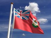 foto of bermuda  - Bermuda flag  - JPG 