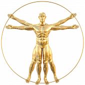 picture of da-vinci  - vitruvian man from gold - JPG 