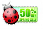 foto of percentage  - 50 percentages off spring sale banner  - JPG 