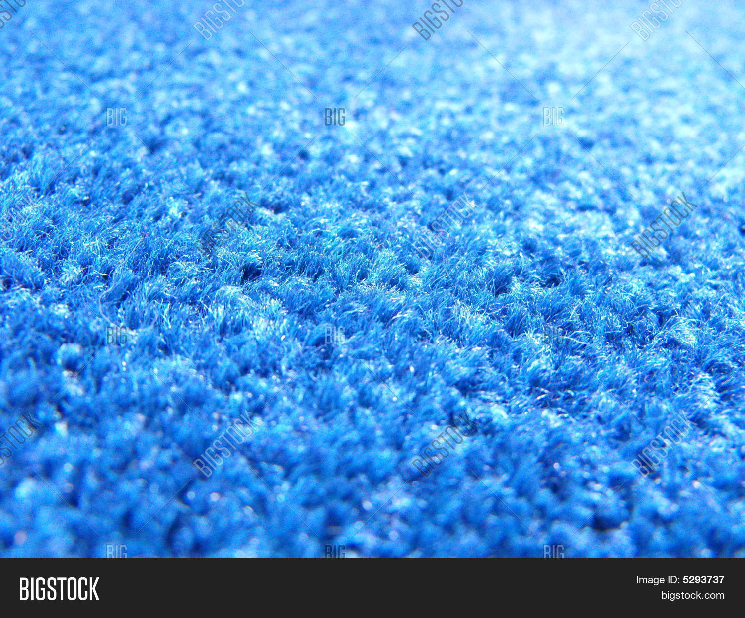 Blue Carpet Stock Photo & Stock Images Bigstock
