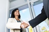 picture of business people  - Portrait of black business woman shaking hands - JPG 