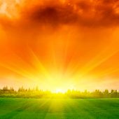 picture of sunset  - Green field and forest at sunset - JPG 