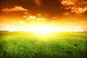 picture of sunset  - Green field at sunset - JPG 