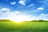 image of outdoor  - Bright sunset over green field - JPG 