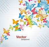 picture of nature  - Colorful background with butterfly - JPG 