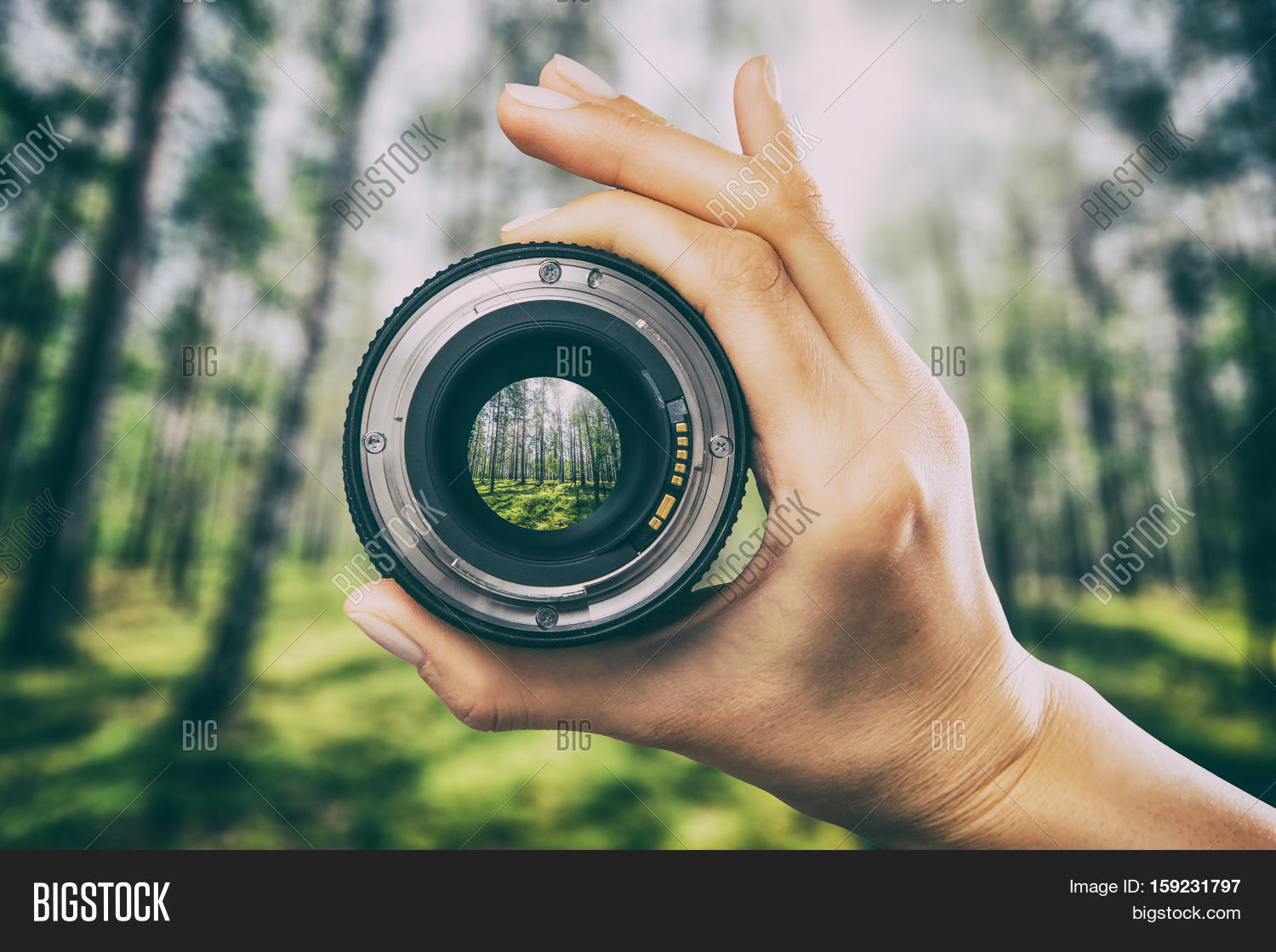 Photography View Camera Image & Photo Bigstock