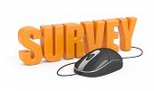 picture of mouse  - Survey word and computer mouse - JPG 