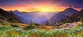 stock photo of nature  - Majestic sunset in the mountains landscape - JPG 