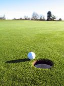 foto of golf  - Photo of a golf ball beside the hole with trees in the background - JPG 