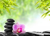 stock photo of stability  - spa concept zen basalt black stones and pink orchid - JPG 
