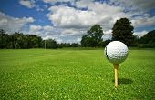 pic of golf  - Ball view from golf course - JPG 